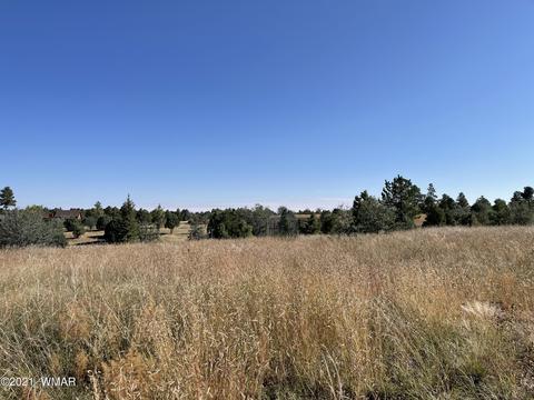 2253 Big Bear Cir, Overgaard, AZ 85928 photo 15