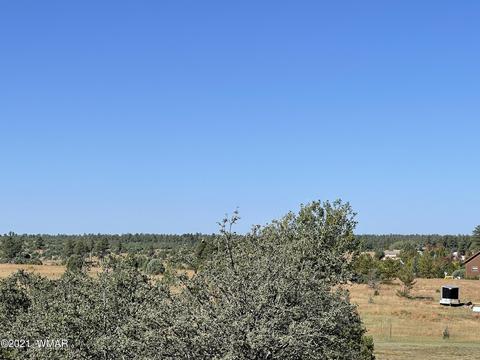 2253 Big Bear Cir, Overgaard, AZ 85928 photo 5