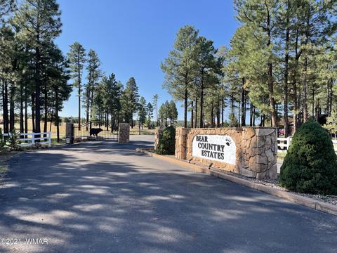 2253 Big Bear Cir, Overgaard, AZ 85928 photo 19