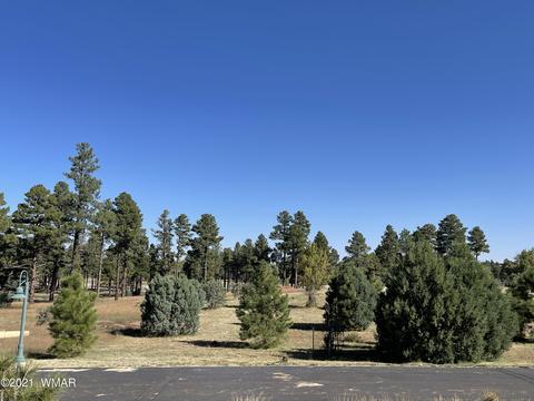 2253 Big Bear Cir, Overgaard, AZ 85928 photo 11