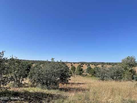 2253 Big Bear Cir, Overgaard, AZ 85928 photo 3