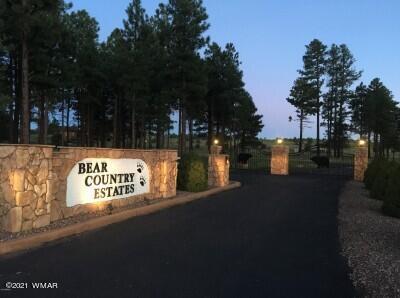 2253 Big Bear Cir, Overgaard, AZ 85928 photo 2