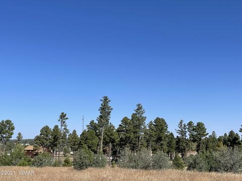 2253 Big Bear Cir, Overgaard, AZ 85928 photo 4