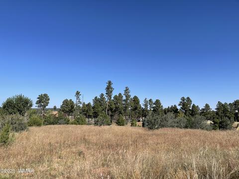 2253 Big Bear Cir, Overgaard, AZ 85928 photo 9