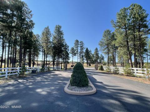 2253 Big Bear Cir, Overgaard, AZ 85928 photo 1