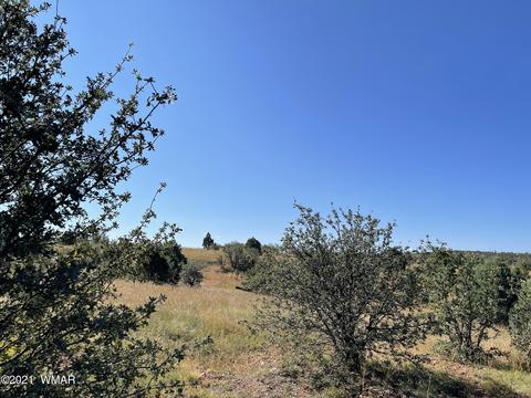 2253 Big Bear Cir, Overgaard, AZ 85928 photo 14