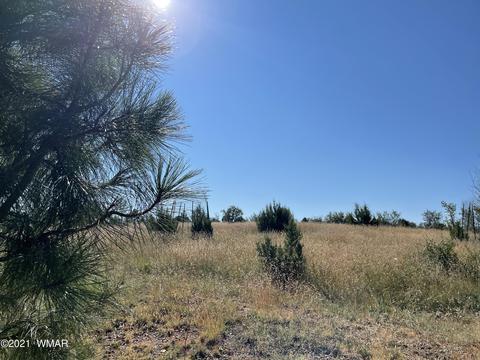 2253 Big Bear Cir, Overgaard, AZ 85928 photo 7