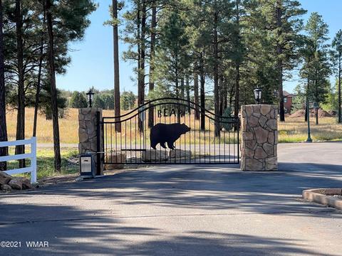 2253 Big Bear Cir, Overgaard, AZ 85928 photo 18