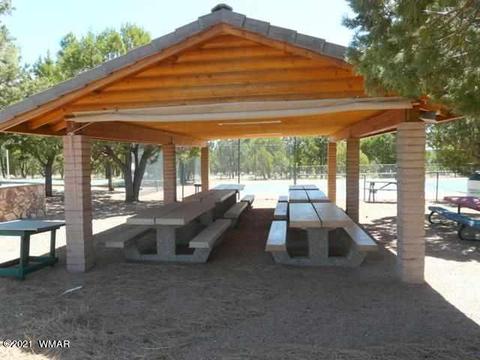 2294 Constellation Ln, Overgaard, AZ 85933 photo 14