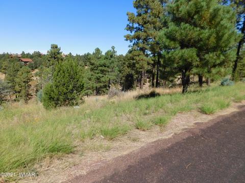 2294 Constellation Ln, Overgaard, AZ 85933 photo 2
