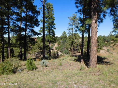 2294 Constellation Ln, Overgaard, AZ 85933 photo 4