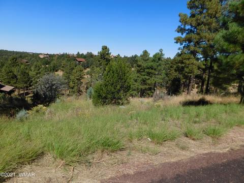 2294 Constellation Ln, Overgaard, AZ 85933 photo 3