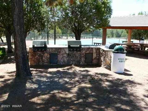 2294 Constellation Ln, Overgaard, AZ 85933 photo 13