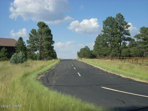 2294 Constellation Ln, Overgaard, AZ 85933 photo 8