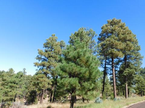 2294 Constellation Ln, Overgaard, AZ 85933 photo 6