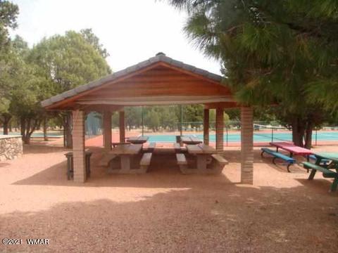2294 Constellation Ln, Overgaard, AZ 85933 photo 15