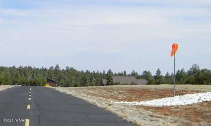 2294 Constellation Ln, Overgaard, AZ 85933 photo 12