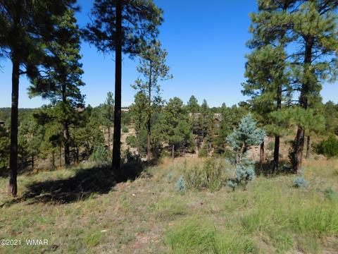 2294 Constellation Ln, Overgaard, AZ 85933 photo 1