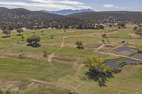 1306 W Lake Dr, Payson, AZ 85541 photo 10