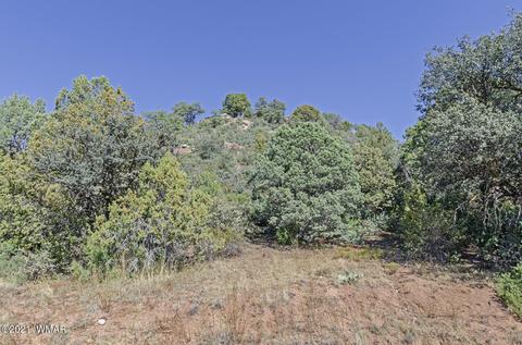 1306 W Lake Dr, Payson, AZ 85541 photo 4