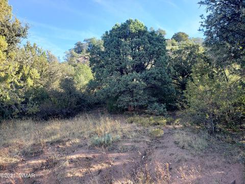 1306 W Lake Dr, Payson, AZ 85541 photo 3