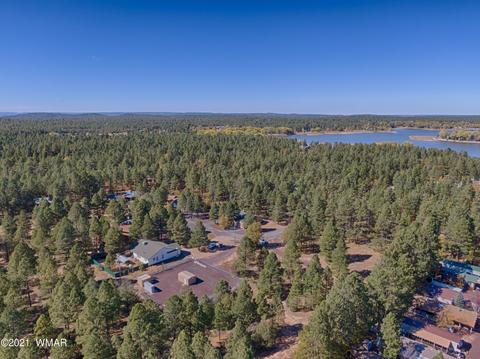 2602 Stringer Cir, Lakeside, AZ 85929 photo 27