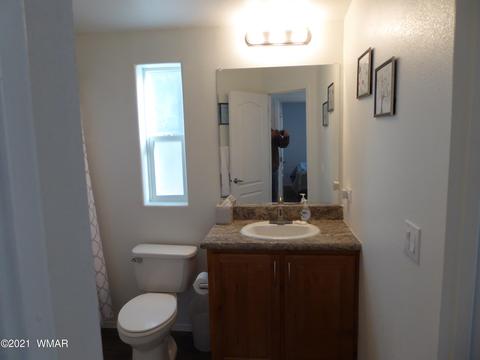3655 Pine Rim Dr, Overgaard, AZ 85933 photo 18