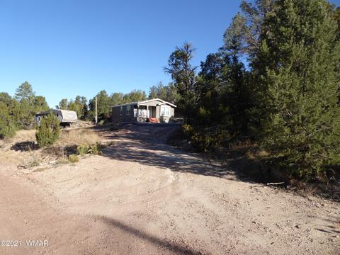 3655 Pine Rim Dr, Overgaard, AZ 85933 photo 21