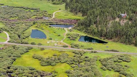 373 Greer Meadows Lks, Greer, AZ 85927