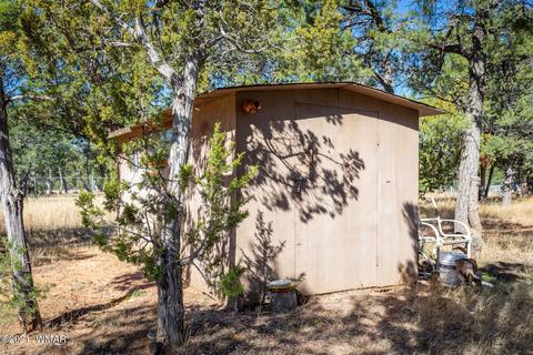 3332 Cedar Dr, Overgaard, AZ 85933 photo 10
