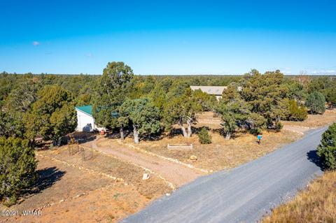 3332 Cedar Dr, Overgaard, AZ 85933 photo 30