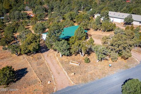 3332 Cedar Dr, Overgaard, AZ 85933 photo 23