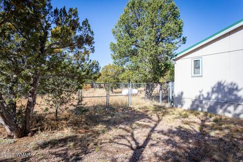 3332 Cedar Dr, Overgaard, AZ 85933 photo 8