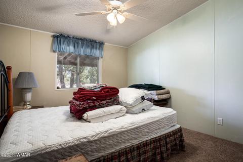 3332 Cedar Dr, Overgaard, AZ 85933 photo 21