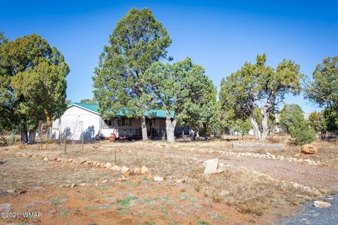 3332 Cedar Dr, Overgaard, AZ 85933 photo 13