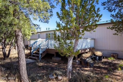 3332 Cedar Dr, Overgaard, AZ 85933 photo 9