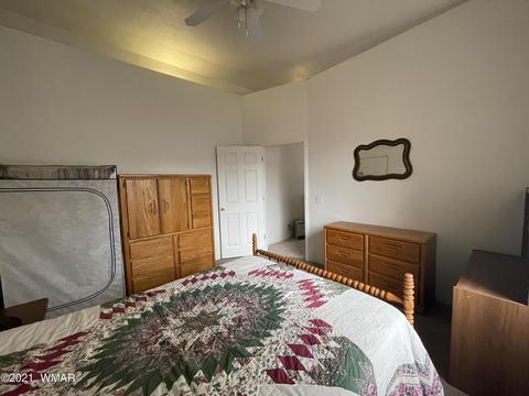 3394 Apache Dr, Overgaard, AZ 85933 photo 6