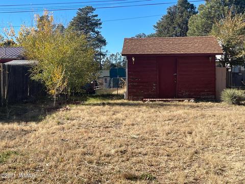3394 Apache Dr, Overgaard, AZ 85933 photo 19