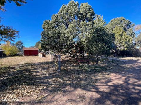 3394 Apache Dr, Overgaard, AZ 85933 photo 18