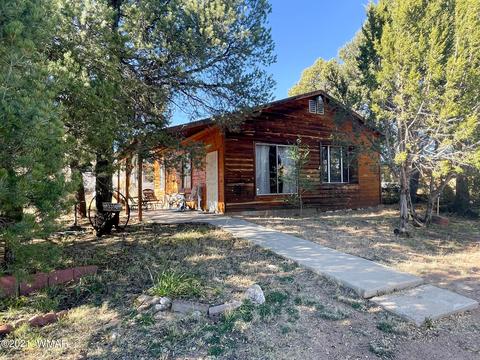 3394 Apache Dr, Overgaard, AZ 85933 photo 17