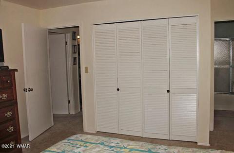 2043 Timber Trail Loop, Overgaard, AZ 85928 photo 26