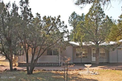 2043 Timber Trail Loop, Overgaard, AZ 85928 photo 39