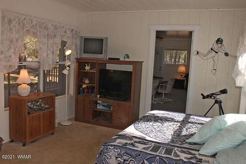 2043 Timber Trail Loop, Overgaard, AZ 85928 photo 15
