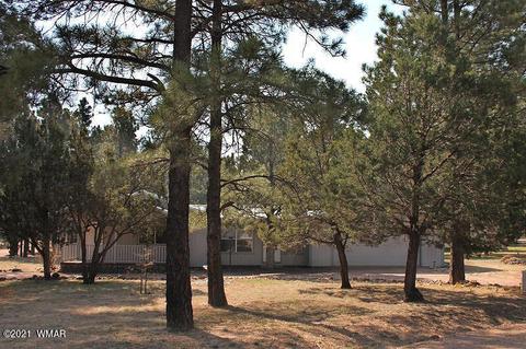 2043 Timber Trail Loop, Overgaard, AZ 85928 photo 2