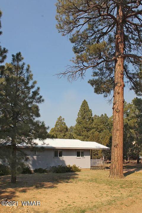 2043 Timber Trail Loop, Overgaard, AZ 85928 photo 6