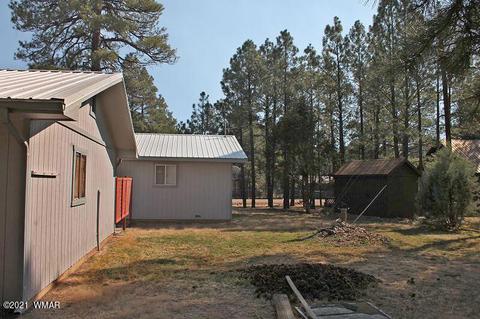 2043 Timber Trail Loop, Overgaard, AZ 85928 photo 22
