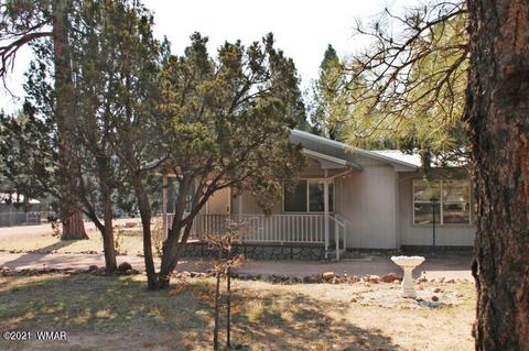 2043 Timber Trail Loop, Overgaard, AZ 85928 photo 38