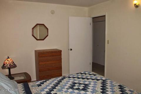 2043 Timber Trail Loop, Overgaard, AZ 85928 photo 29