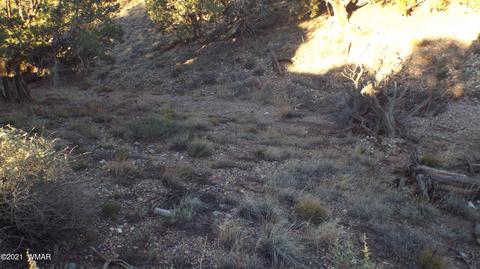 4369 Sorrel Rd, Snowflake, AZ 85937 photo 1
