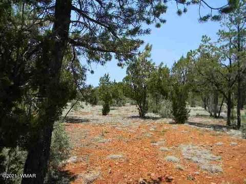 2760 Jaguar Cir, Overgaard, AZ 85933 photo 19